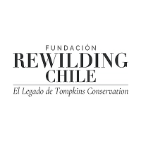 Fundacion Cabo Froward